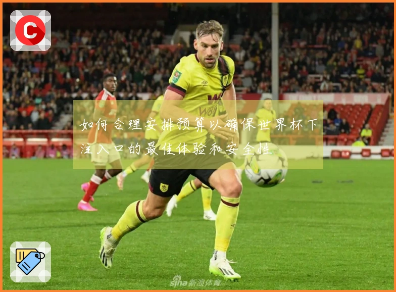 如何合理安排预算以确保世界杯下注入口的最佳体验和安全性