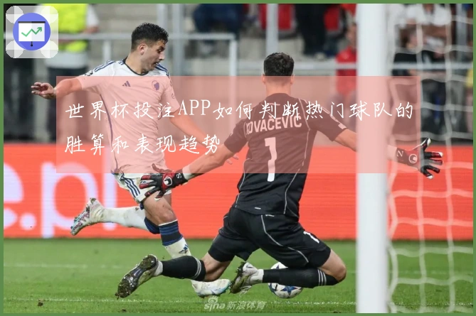 世界杯投注APP如何判断热门球队的胜算和表现趋势