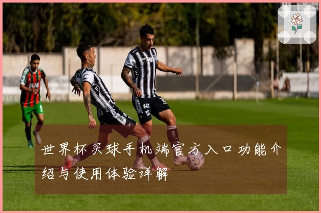 世界杯买球手机端官方入口功能介绍与使用体验详解