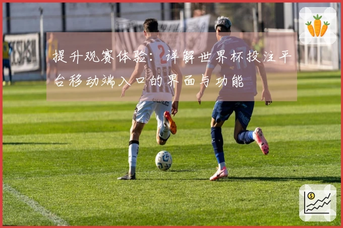提升观赛体验：详解世界杯投注平台移动端入口的界面与功能