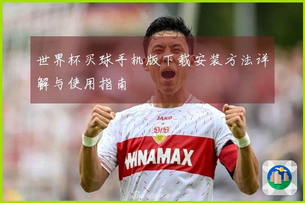 世界杯买球手机版下载安装方法详解与使用指南