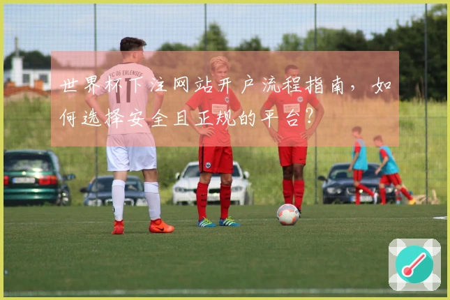 世界杯下注网站开户流程指南，如何选择安全且正规的平台？