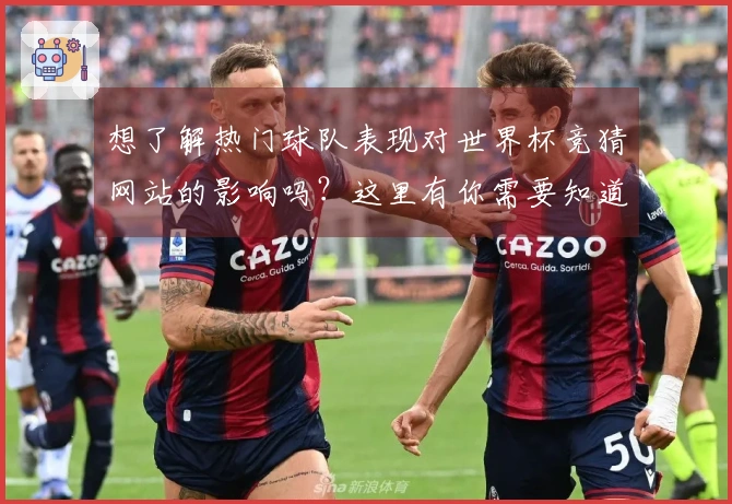 想了解热门球队表现对世界杯竞猜网站的影响吗？这里有你需要知道的常见误区