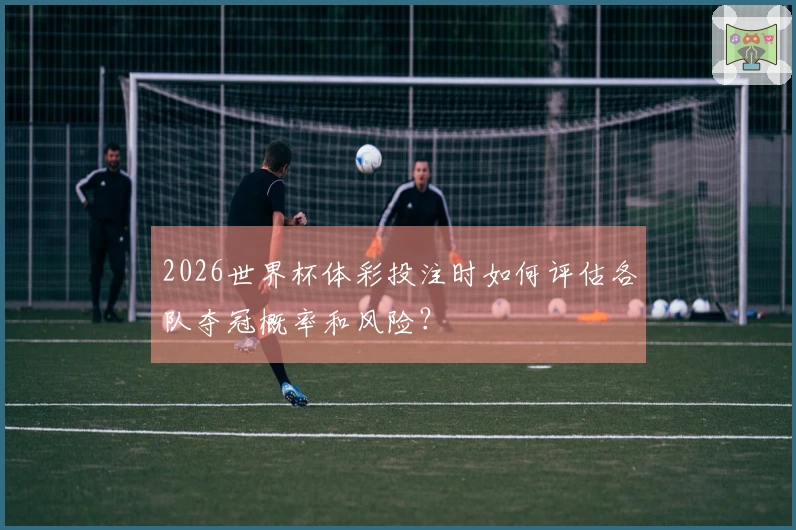 2026世界杯体彩投注时如何评估各队夺冠概率和风险？