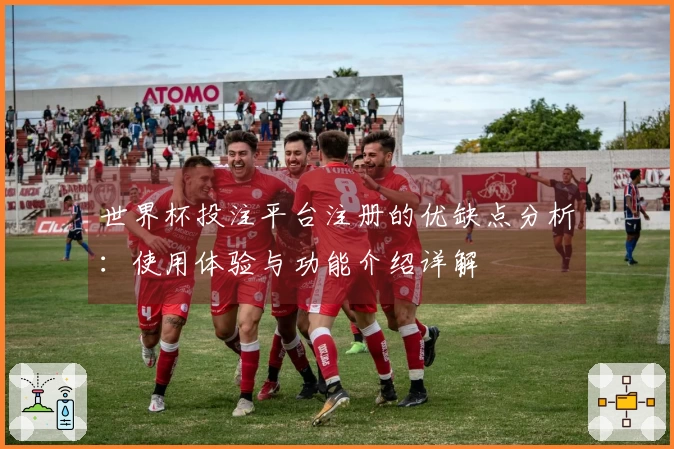 世界杯投注平台注册的优缺点分析：使用体验与功能介绍详解