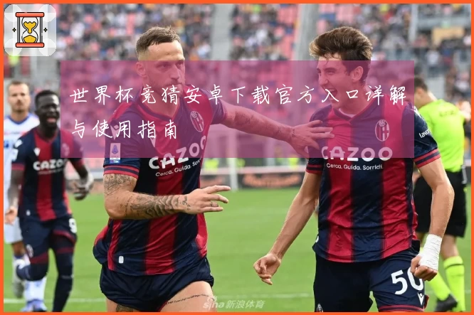 世界杯竞猜安卓下载官方入口详解与使用指南