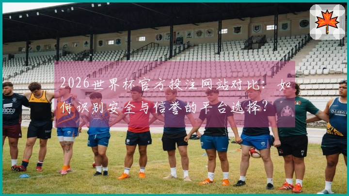 2026世界杯官方投注网站对比：如何识别安全与信誉的平台选择？
