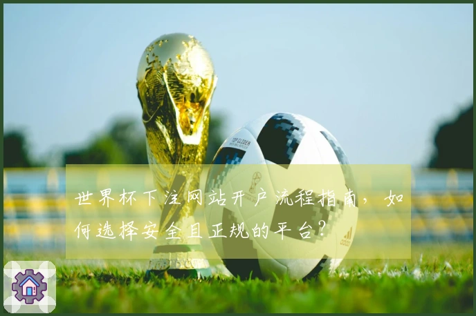 世界杯下注网站开户流程指南，如何选择安全且正规的平台？