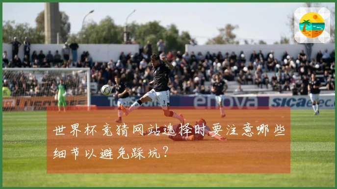 世界杯竞猜网站选择时要注意哪些细节以避免踩坑？