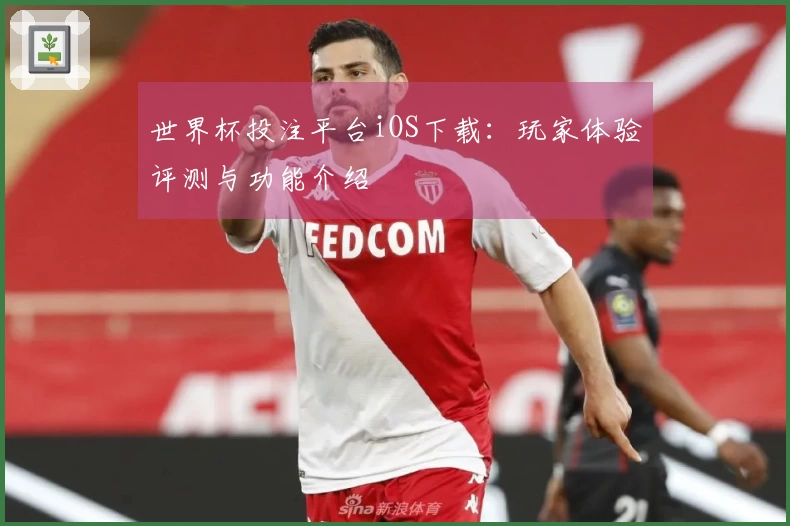 世界杯投注平台iOS下载：玩家体验评测与功能介绍