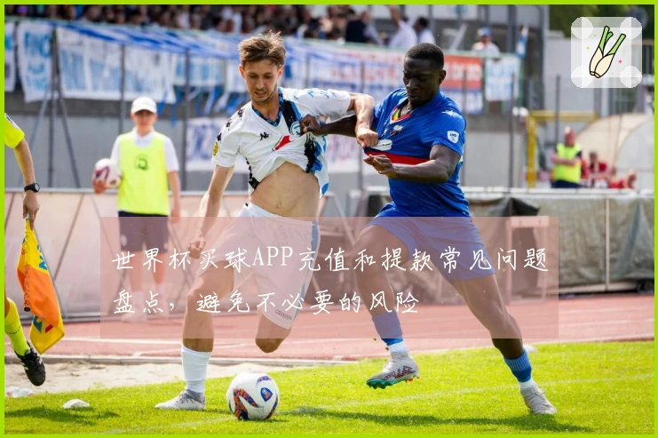 世界杯买球APP充值和提款常见问题盘点，避免不必要的风险