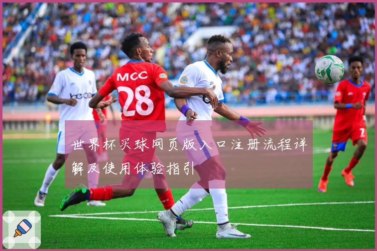 世界杯买球网页版入口注册流程详解及使用体验指引