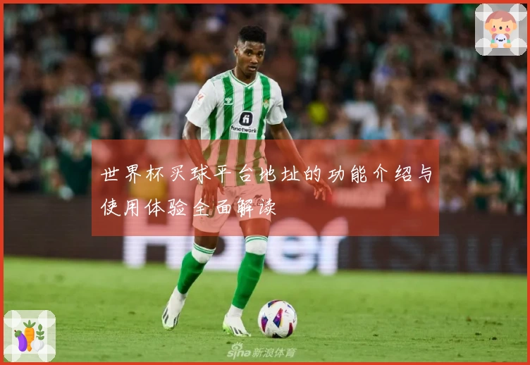 世界杯买球平台地址的功能介绍与使用体验全面解读